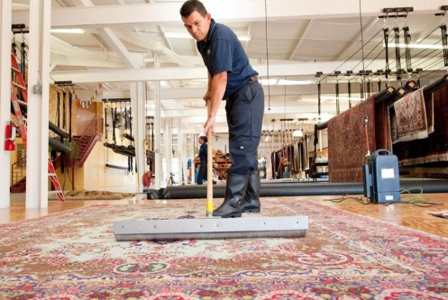 استخدام کارگر قالیشویی