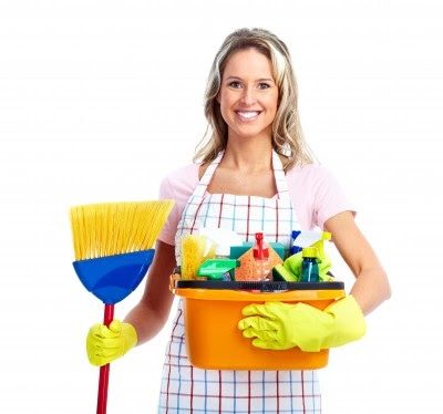 Cleaner