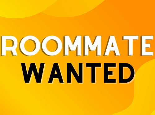 به دنبال همخونه در زیتون‌ بورنو