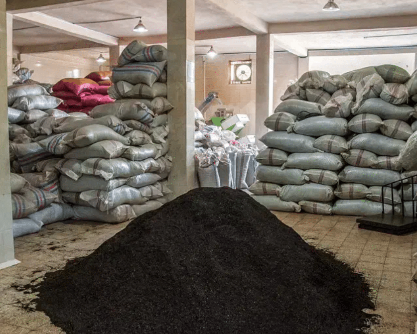 استخدام کارگر ساده برای کارخانه چای در شهر ریزه ترکیه